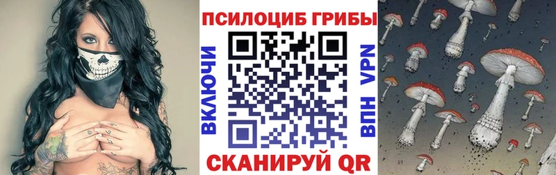 Купить где  Слюдянка  Псилоцибиновые грибы мицелий 